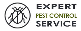 Expert Exterminator Co Homestead FL